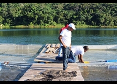 Presa de Hatillo rea de Maimn, crianza de peces en Repblica Dominicana