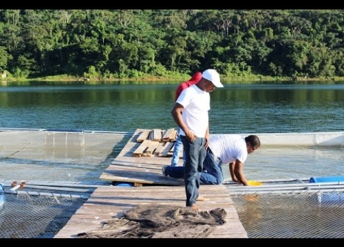 Presa de Hatillo rea de Maimn, crianza de peces en Repblica Dominicana