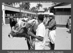 inspeccionando-ganado-en-funsacion