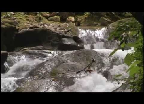 CCN Orgullo de Mi Tierra - Descubre Pedernales